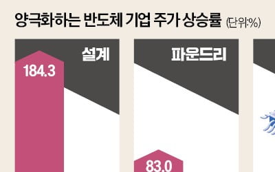 TSMC 83% vs 삼성전자 -25%…그 뒤엔 '엔비디아' 있었다