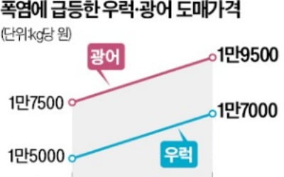 이상기온에 집단 폐사…우럭값 30% 오를 듯