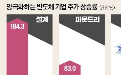 TSMC 83% vs 삼성전자 -25%…그 뒤엔 '엔비디아' 있었다