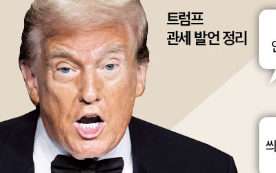 "트럼프 관세, 세계 경제에 수류탄…자국민에도 피해 갈 것"