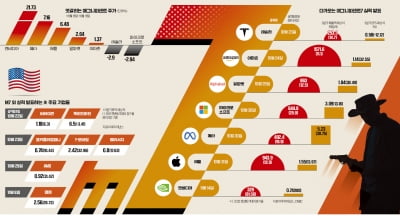 美 '매그니피센트 7' 테슬라 빼고 불 뿜는다