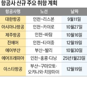 "LCC 타고 발리 간다"…新노선 개척 전쟁