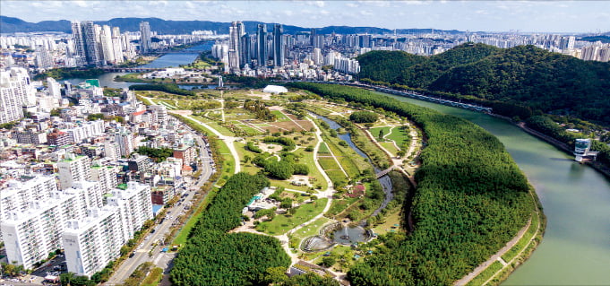 2028국제정원박람회가 열리는 태화강 국가정원 전경. /울산시 제공
 