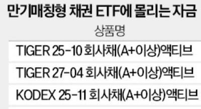 원금 안까먹는 만기매칭형 ETF에 '뭉칫돈'