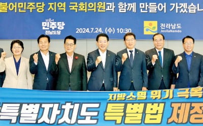 '전남특별자치도' 설치 총력…미래성장동력 발굴, 지역 주도 발전모델 만든다