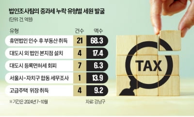 탈세 잡는 '강남구 드림팀'…석달새 115억 적발