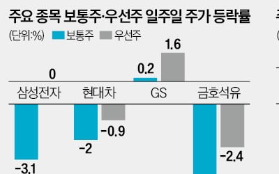 "찬바람 부는 증시…고배당 우선주로 피신"