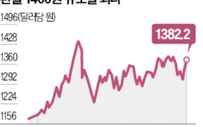 불 붙은 환율 상승세…달러당 1400원 '눈앞'