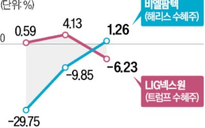 상한가 쳤다 원상 복귀…美대선 테마주 주의보