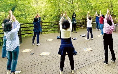 산림청, 미래 먹거리로 떠오른 산림치유…탐방객과 이용자 폭발적 증가세