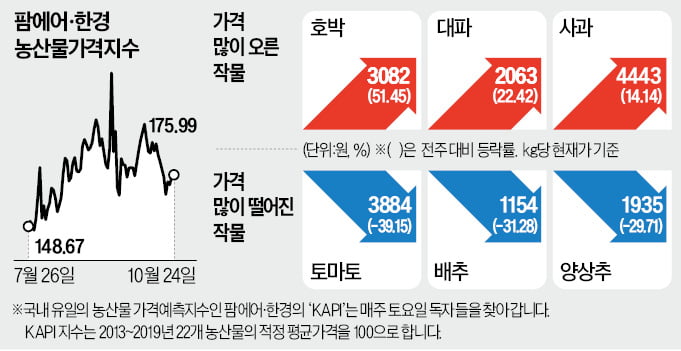 하락 조짐 없는 무·마늘값…"하이 로우 토토 사이트 포기할 판"