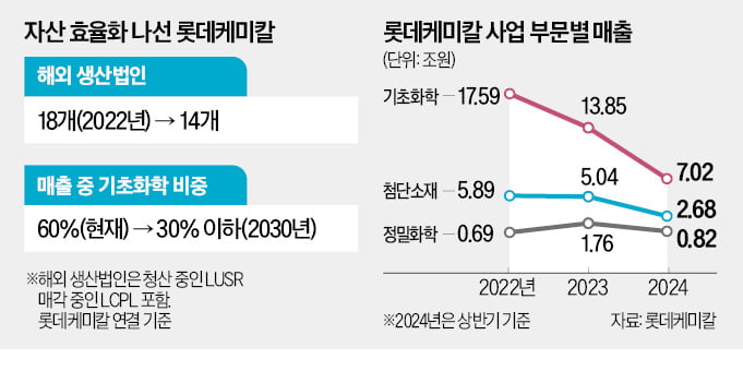 해외법인 청산…'군살' 빼는 롯데케미칼