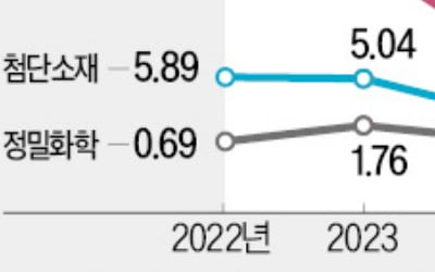 해외법인 청산…'군살' 빼는 롯데케미칼