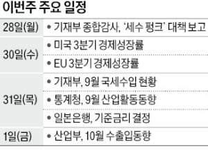 [월요전망대] 30조 '세수 펑크' 메울 대책은?