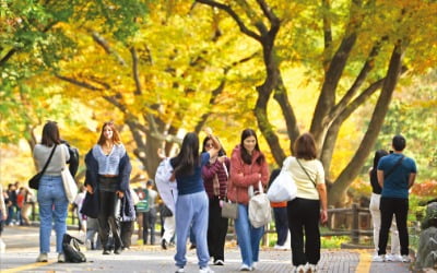 [포토] 남산 단풍 즐기는 외국인 관광객들