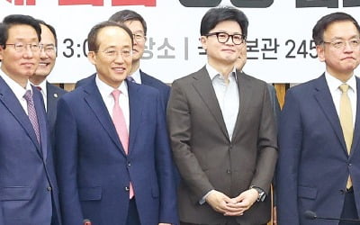 당·정 "반도체 특별법, AI 육성법…올 정기 국회 안에 처리"