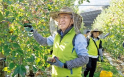 이석준 농협금융 회장, 농촌 일손돕기