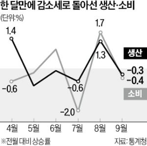 생산·소비, 한 달 만에 감소…경기 '상고하저' 경고음