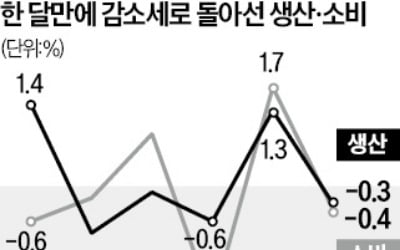 생산·소비, 한 달 만에 감소…경기 '상고하저' 경고음