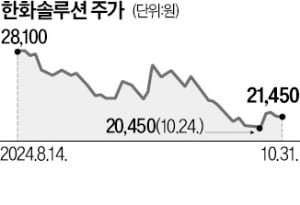 美, 태양광도 보조금…한화큐셀·OCI 웃는다