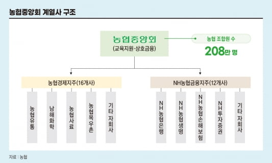 그래픽=정다운 기자