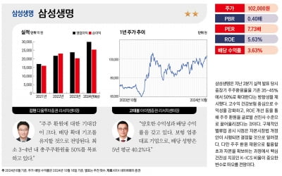 주목할 유망 밸류업 종목 베스트 20 – 삼성생명