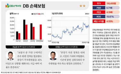 주목할 유망 밸류업 종목 베스트 20 – DB손해보험