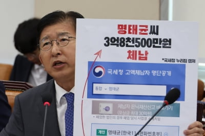 “가스비도 못내는 신세” 명태균, 지방세 체납