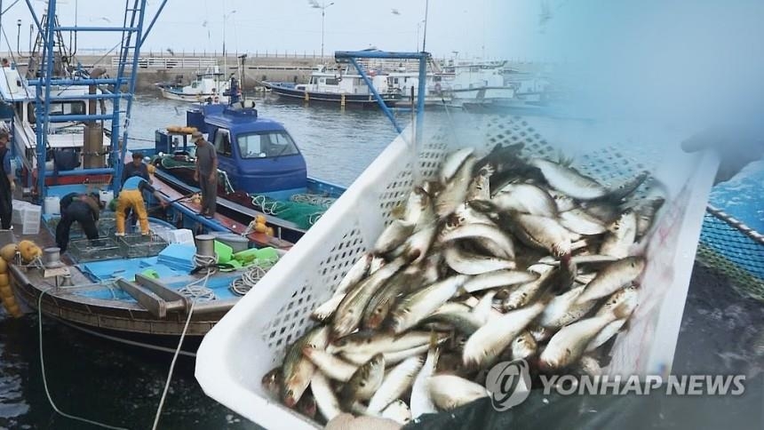 고수온에 홍합·굴 생산량 감소…광어·우럭도 생산 차질