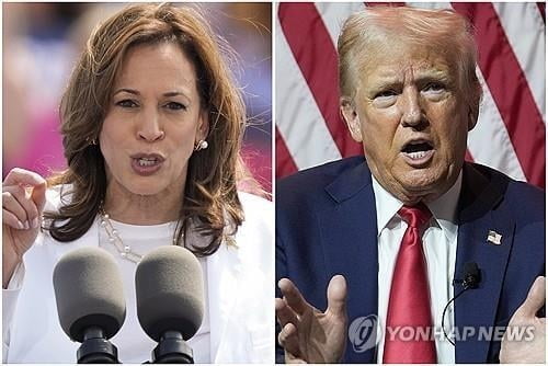 "해리스, 전국 지지율 앞서…경합주는 트럼프"