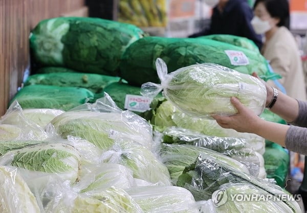 '금값' 배추 덕에…모처럼 '호황'