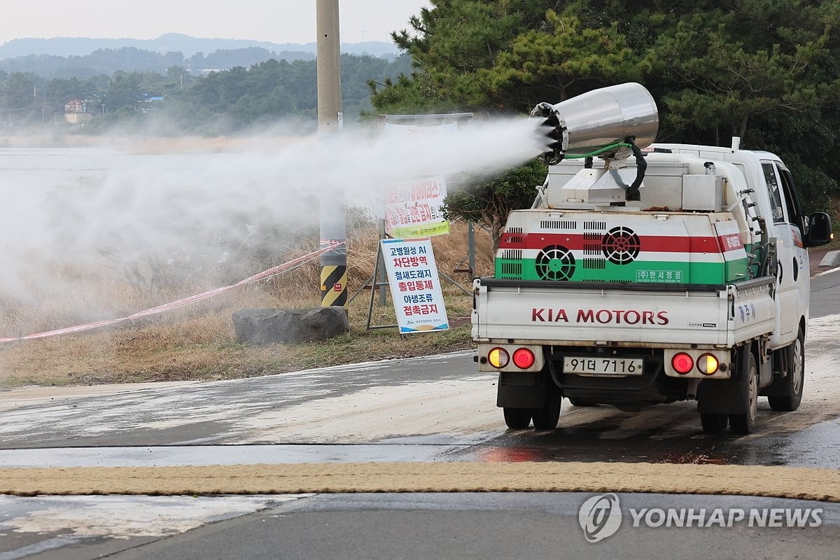 "사람도 AI 감염"…국내서 첫 검출 '비상'