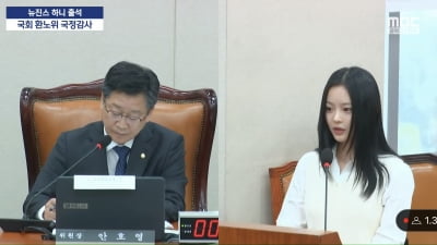 뉴진스 하니 "하이브가 우릴 싫어한다는 확신…김주영 대표, 최선 다 안 했다" [TEN이슈]