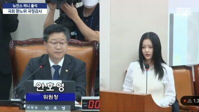 뉴진스 하니 국감 등장에 갑론을박 쉴 새 없네…근로기준법 적용 범위 확대될까 [TEN초점]