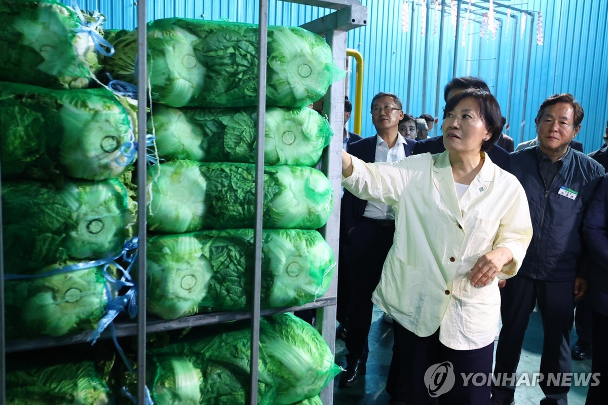 송미령 "이번주부터 배추가격 내려가…이달내 평년수준"