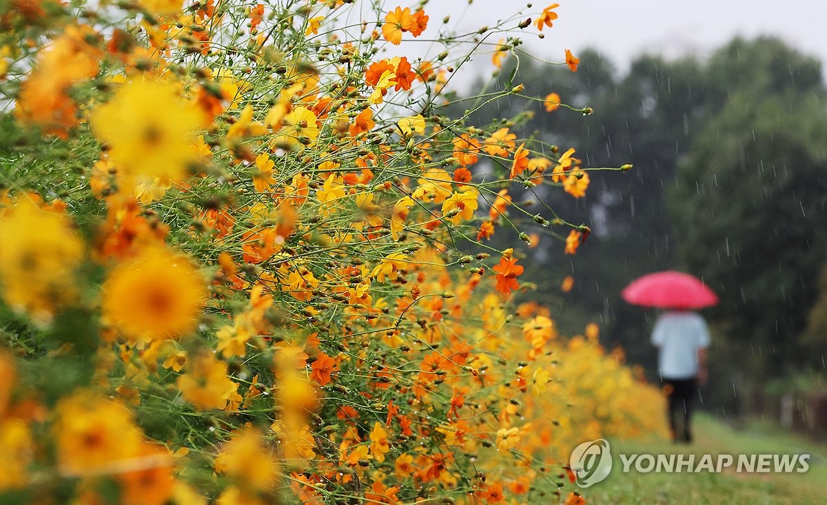 대체로 흐리고 충청·남부·제주 비…낮 최고 19∼23도