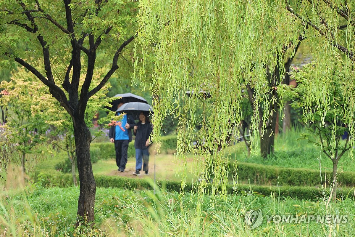 남부·제주 가을비…오전에는 동쪽 지역 짙은 안개 주의