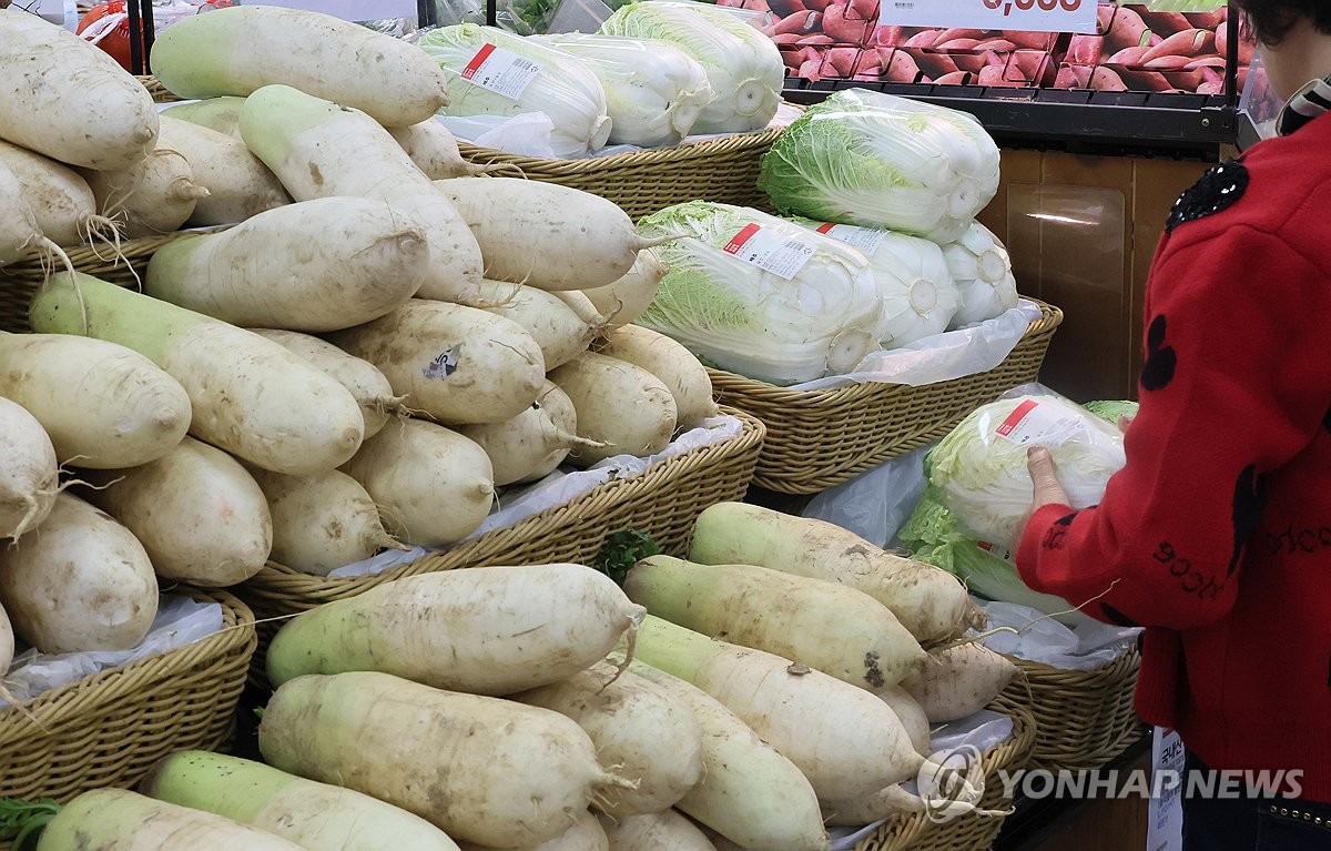 송미령 "이번주부터 배추가격 내려가…이달내 평년수준"