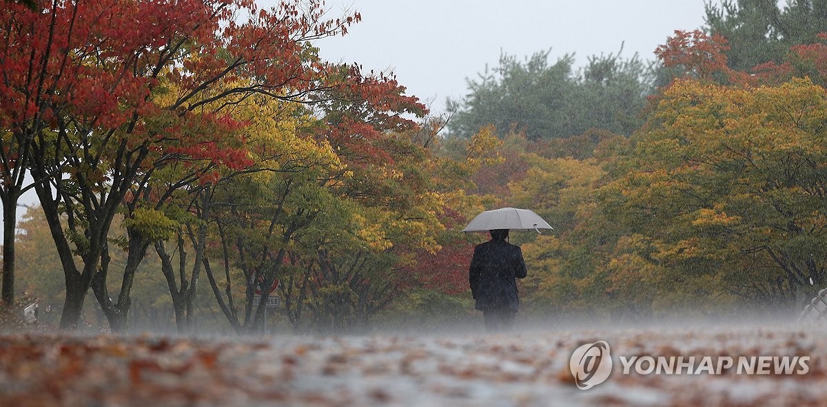 전국 흐리고 비…제주도·경상권 시간당 20∼30㎜ 쏟아진다