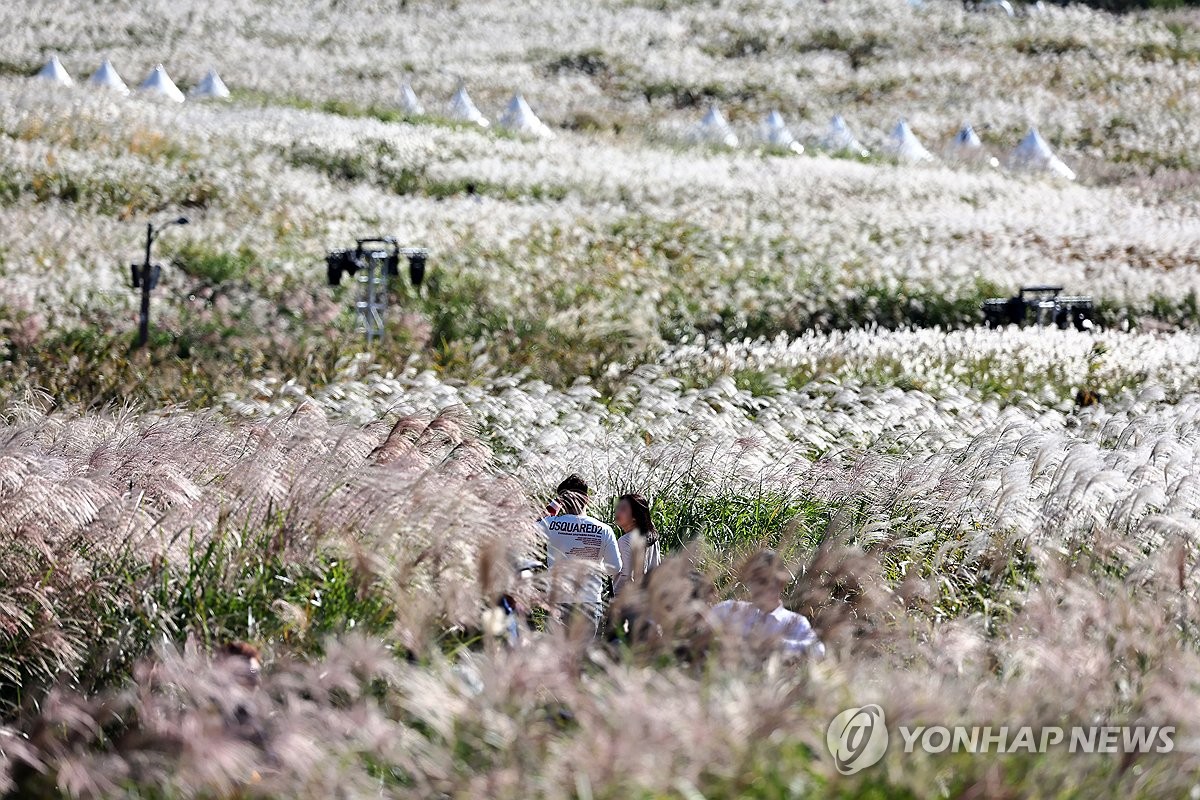 대체로 맑고 일교차 커…오전까지 내륙 짙은 안개