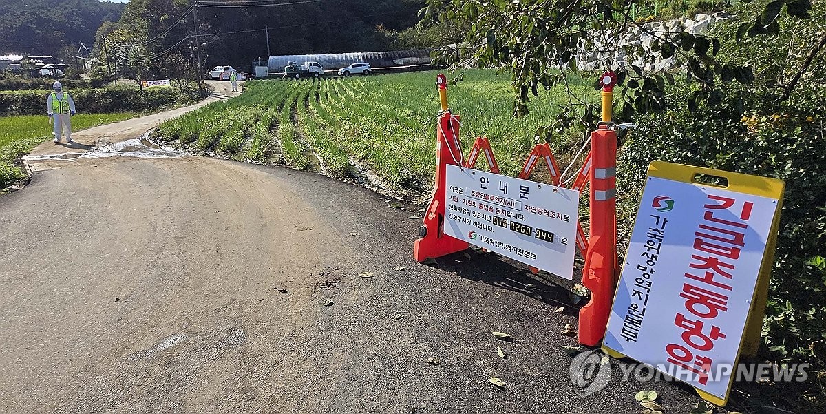 강원 동해서 고병원성 AI…가금농장서 올가을 첫 발생