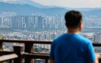 소득 줄었는데 빚내서 집 샀다…여윳돈 증가폭 '반토막'