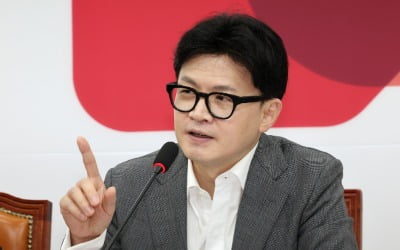 [속보] 한동훈, 金여사에 "공적지위 없어…그런 분 라인 존재하면 안돼"