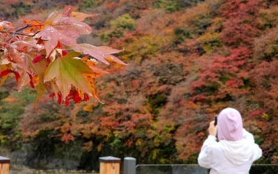 폭염에 늦어진 단풍, 이번 주말 '절정'…"가볼 만한 명소 5곳"