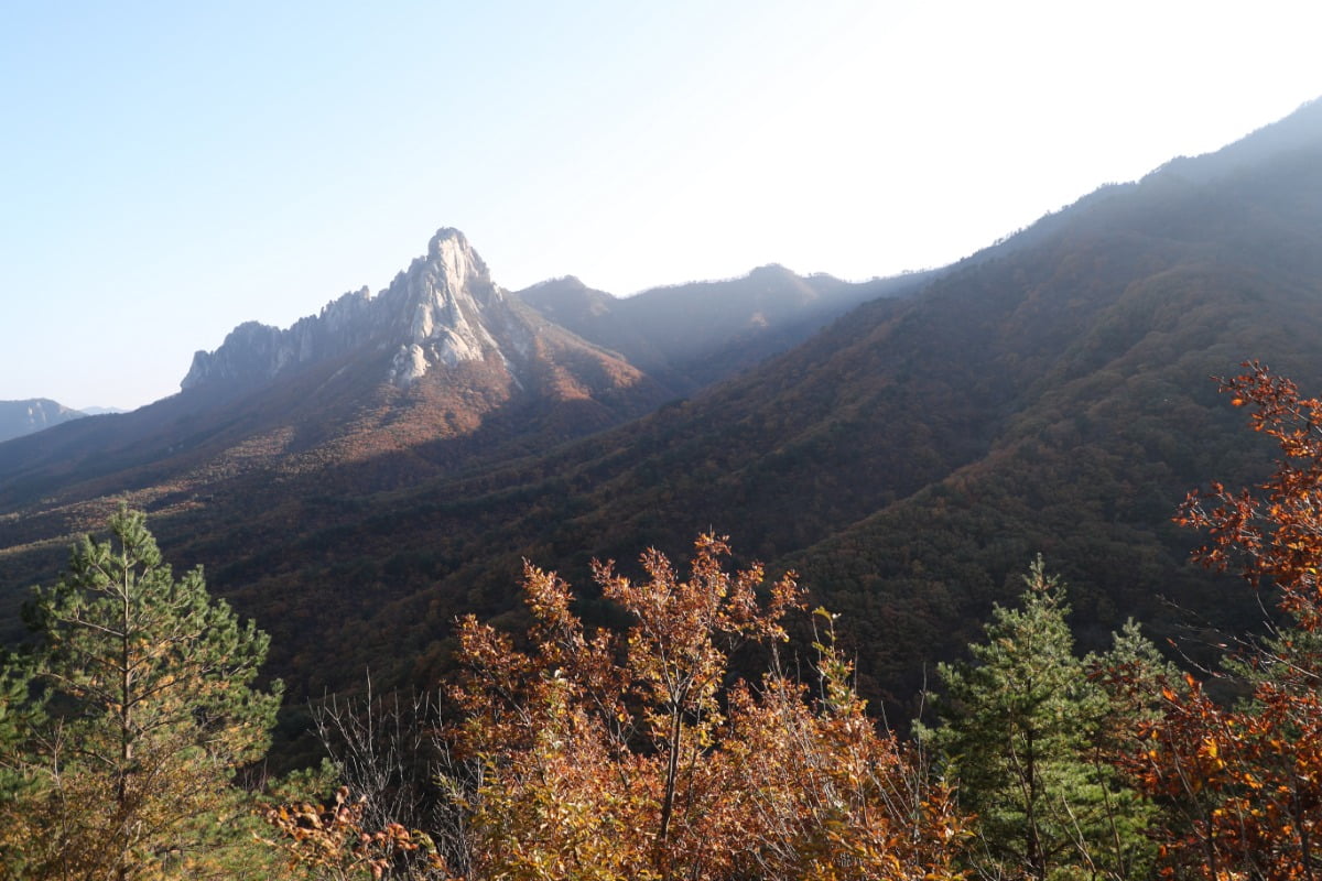 "기후변화 심각하네"…설악산 단풍 절정 관측 이래 가장 늦어