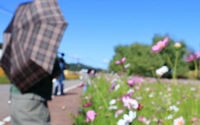 전국 맑다가 오후부터 구름…일교차 15도 안팎