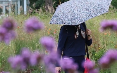 전국 흐리고 곳곳 가을비…낮 최고 19∼25도