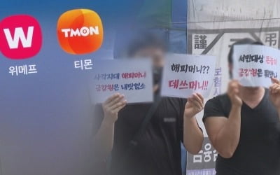 '제2의 티메프 사태' 막는다…이커머스 판매대금 20일 내 정산