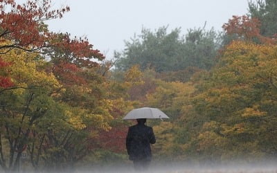 전국 곳곳 가을비 그친 뒤 기온 '뚝'…강풍에 '쌀쌀'