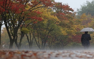 전국 흐리고 비…제주도·경상권 시간당 20∼30㎜ 쏟아진다